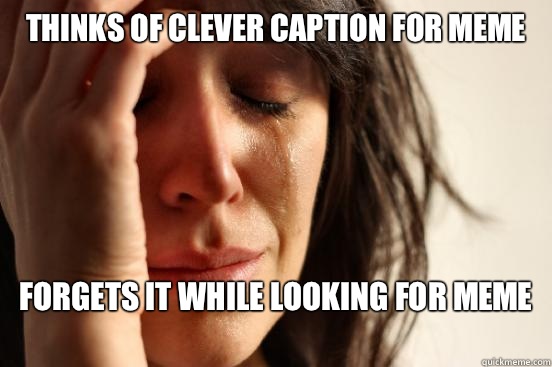 Thinks of clever caption for meme Forgets it while looking for meme
  First World Problems
