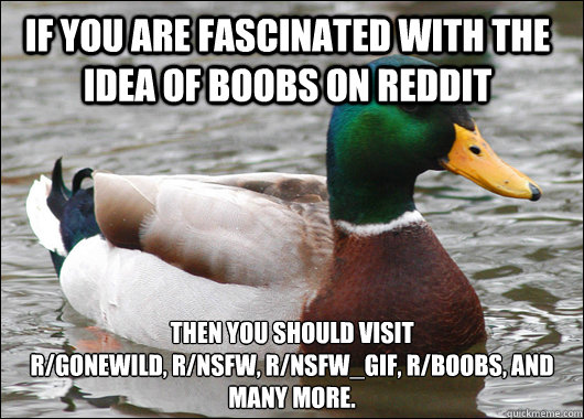 If you are fascinated with the idea of boobs on Reddit Then you should visit
r/gonewild, r/nsfw, r/nsfw_gif, r/boobs, and many more.
 - If you are fascinated with the idea of boobs on Reddit Then you should visit
r/gonewild, r/nsfw, r/nsfw_gif, r/boobs, and many more.
  Actual Advice Mallard