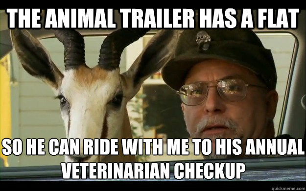 The animal trailer has a flat So he can ride with me to his annual veterinarian checkup  Noooope Chuck Testa