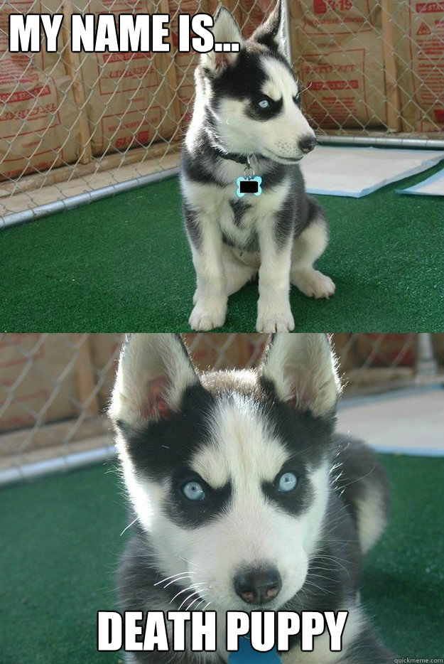 My Name is... DEATH puppy  Insanity puppy