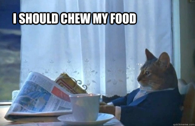 I should chew my food  Sophisticated Cat