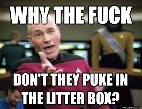 Why the fuck don't they puke in the litter box?  Annoyed Picard HD