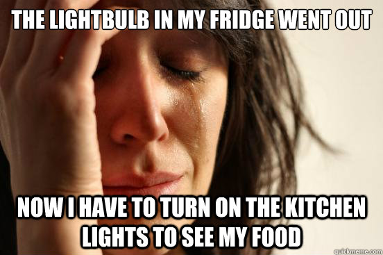 The lightbulb in my fridge went out now i have to turn on the kitchen lights to see my food  First World Problems