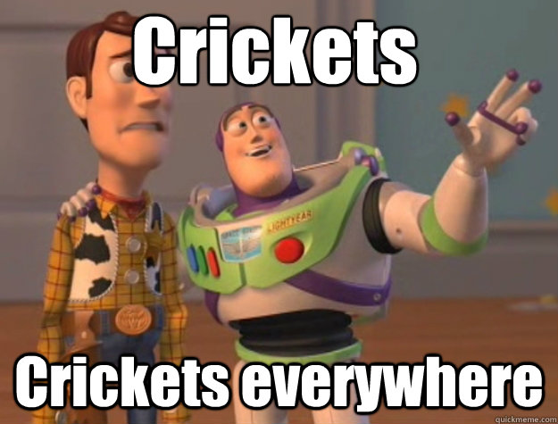 Crickets Crickets everywhere  Pinks everywhere