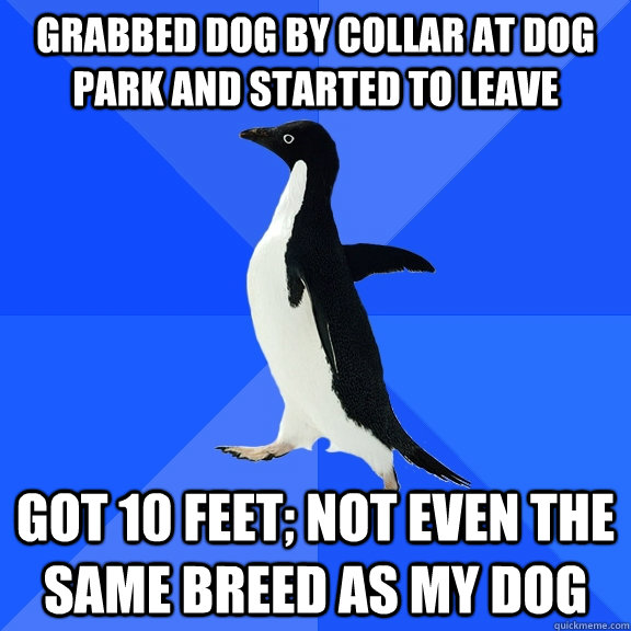 Grabbed dog by collar at dog park and started to leave got 10 feet; Not even the same breed as my dog  Socially Awkward Penguin
