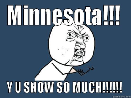 MINNESOTA!!! Y U SNOW SO MUCH!!!!!! Y U No