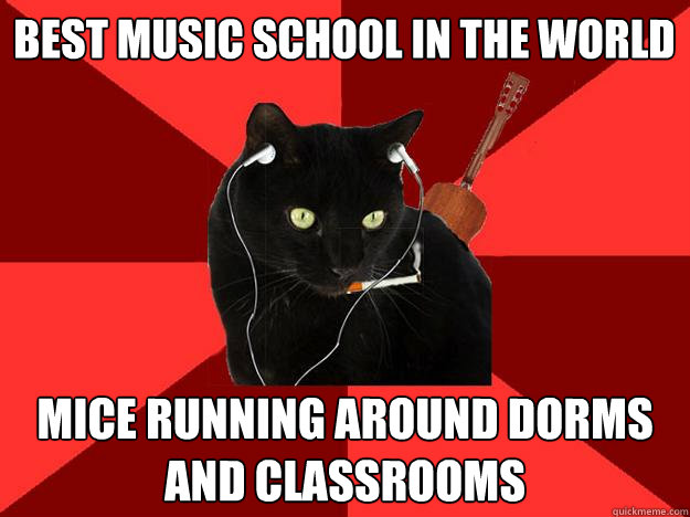 BEST MUSIC SCHOOL IN THE WORLD MICE RUNNING AROUND DORMS AND CLASSROOMS  Berklee Cat