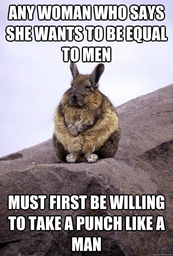 Any woman who says she wants to be equal to men must first be willing to take a punch like a man  Wise Wondering Viscacha