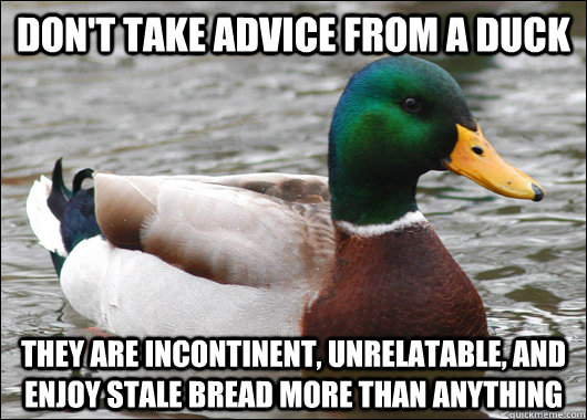 Don't take advice from a duck They are incontinent, unrelatable, and enjoy stale bread more than anything - Don't take advice from a duck They are incontinent, unrelatable, and enjoy stale bread more than anything  Actual Advice Mallard