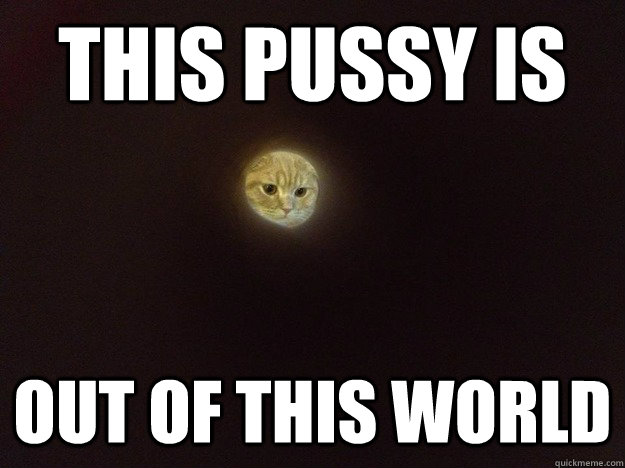 This pussy is  Out of this world - This pussy is  Out of this world  Moon Cat