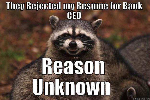 THEY REJECTED MY RESUME FOR BANK CEO REASON UNKNOWN  Evil Plotting Raccoon