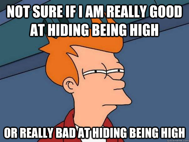 Not sure if I am really good at hiding being high Or really bad at hiding being high  Futurama Fry