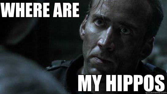 Where Are My Hippos - Where Are My Hippos  Hippolas Cage