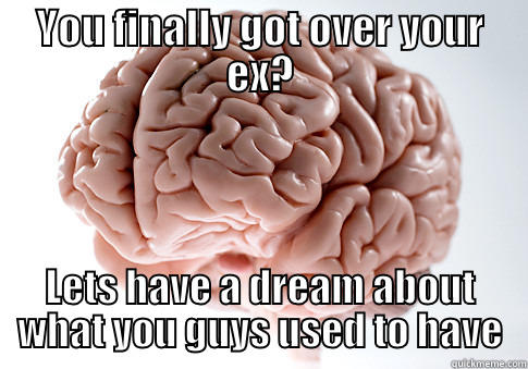 YOU FINALLY GOT OVER YOUR EX? LETS HAVE A DREAM ABOUT WHAT YOU GUYS USED TO HAVE Scumbag Brain