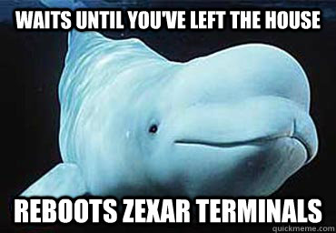Waits until you've left the house Reboots Zexar terminals  