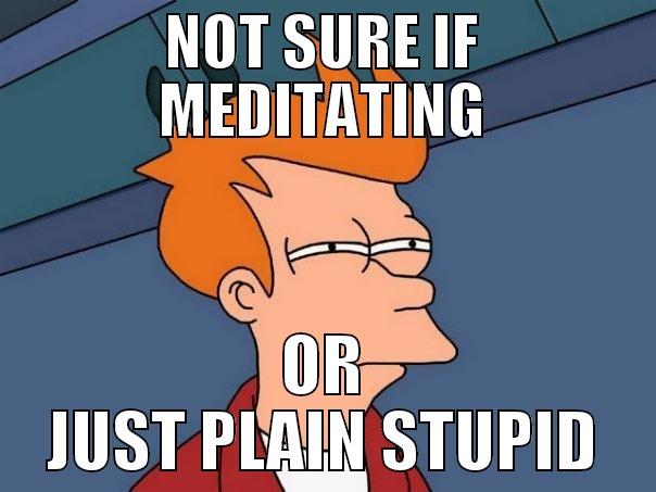 NOT SURE IF MEDITATING OR JUST PLAIN STUPID Futurama Fry