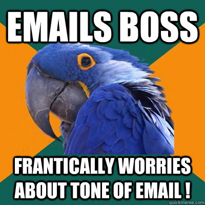 Emails Boss Frantically worries about tone of email !  Paranoid Parrot