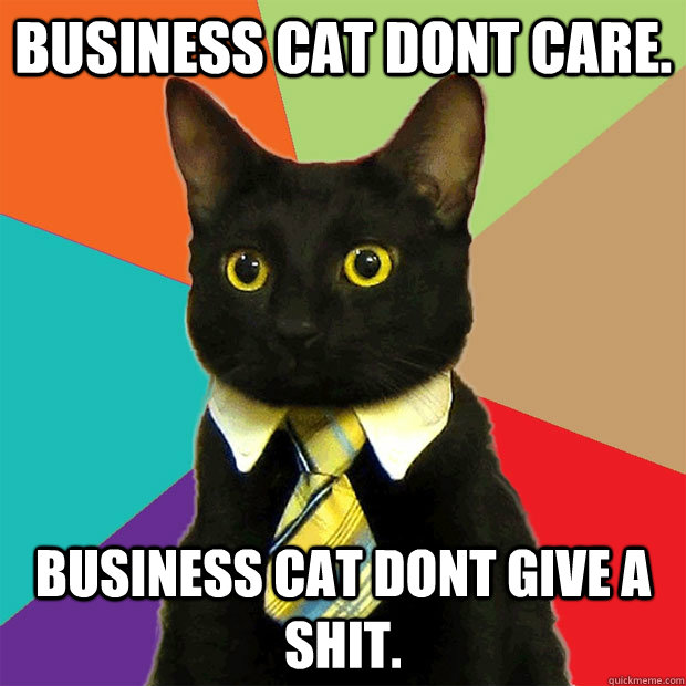Business Cat dont care. Business Cat dont give a shit.  Business Cat