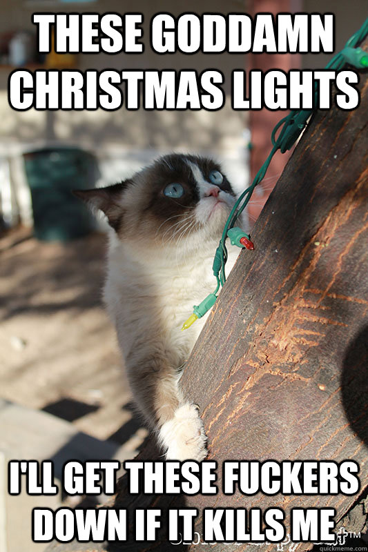 These goddamn Christmas Lights I'll get these fuckers down if it kills me - These goddamn Christmas Lights I'll get these fuckers down if it kills me  Grumpy Cat is Over Christmas