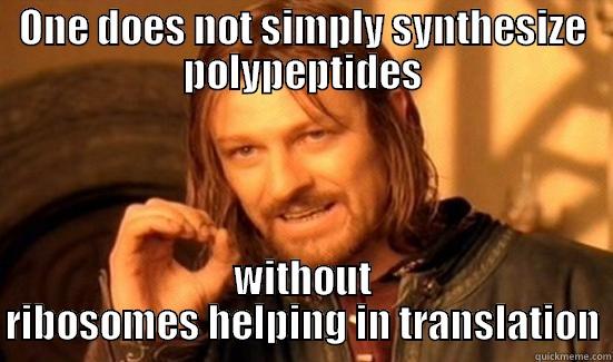 ONE DOES NOT SIMPLY SYNTHESIZE POLYPEPTIDES WITHOUT RIBOSOMES HELPING IN TRANSLATION Boromir