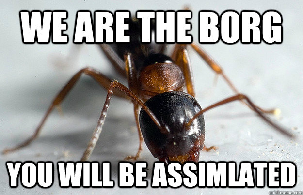 we are the borg you will be assimlated - we are the borg you will be assimlated  Ant Borg