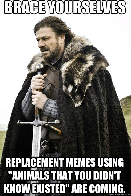 Brace Yourselves
 Replacement Memes using 