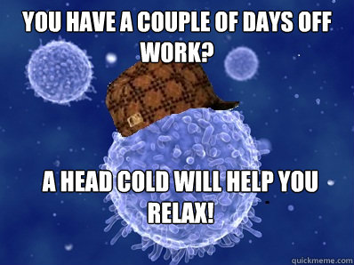 You have a couple of days off work? A head cold will help you relax!  Scumbag immune system