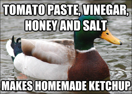 tomato paste, vinegar, honey and salt makes homemade ketchup  Actual Advice Mallard