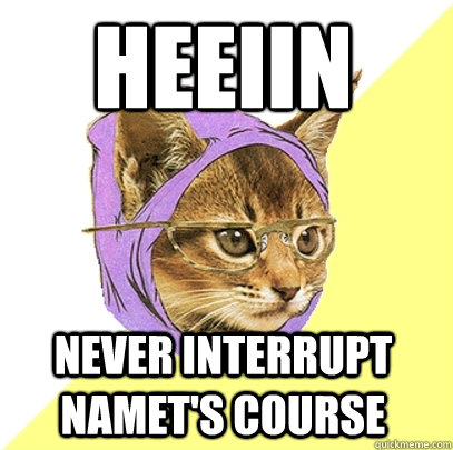 HEEIIN Never interrupt Namet's course  Hipster Kitty