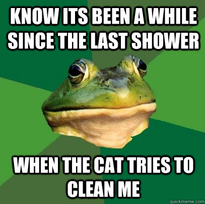 Know its been a while since the last shower When the cat tries to clean me  Foul Bachelor Frog