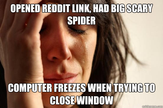 Opened Reddit link, had big scary spider computer freezes when trying to close window  First World Problems
