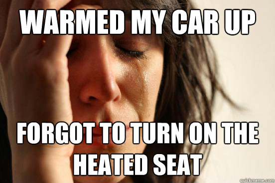 Warmed my car up  forgot to turn on the heated seat  First World Problems