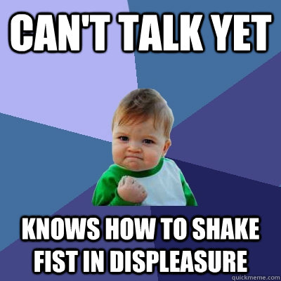 can't talk yet knows how to shake fist in displeasure  Success Kid