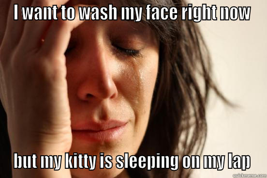 I WANT TO WASH MY FACE RIGHT NOW BUT MY KITTY IS SLEEPING ON MY LAP First World Problems