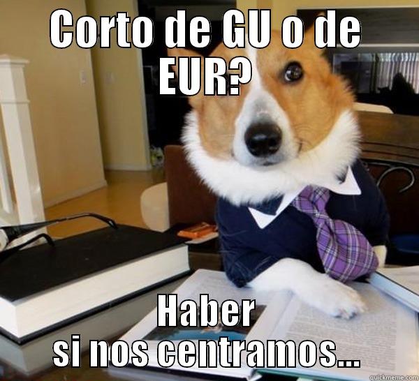 CORTO DE GU O DE EUR? HABER SI NOS CENTRAMOS... Lawyer Dog