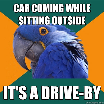 Car coming while sitting outside It's a Drive-By  Paranoid Parrot
