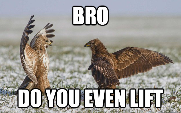 Bro do you even lift - Bro do you even lift  Bird puns