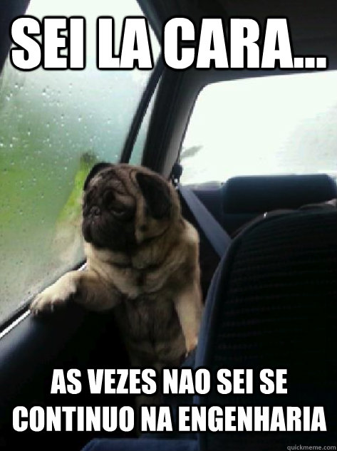 Sei la cara... As vezes nao sei se continuo na engenharia  Introspective Pug