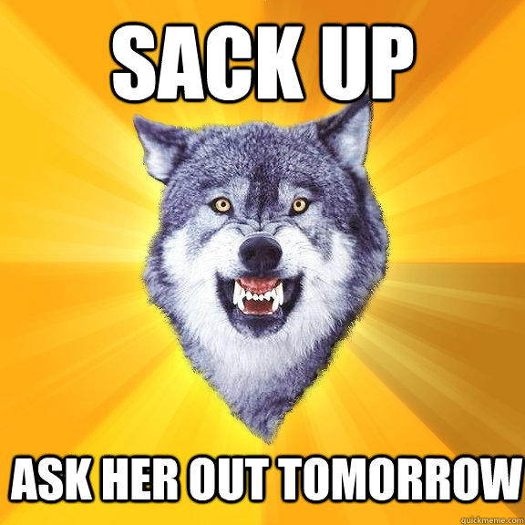 sack up ask her out tomorrow  Courage Wolf