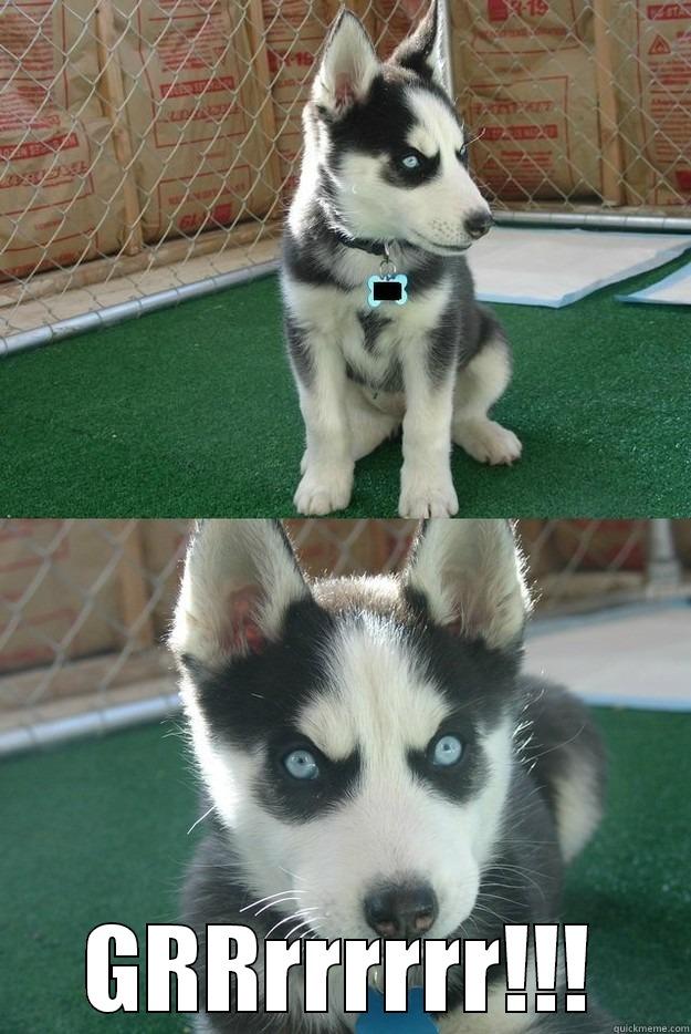  GRRRRRRRR!!! Insanity puppy