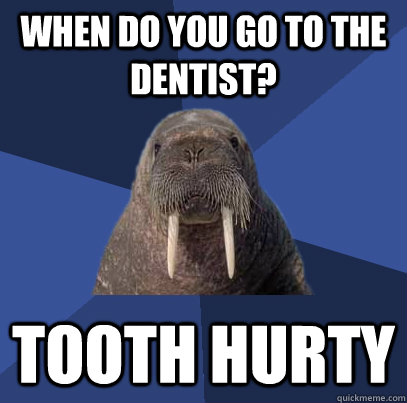 When do you go to the dentist? tooth hurty  Web Developer Walrus