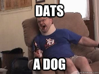 dats a dog  Tourettes Guy