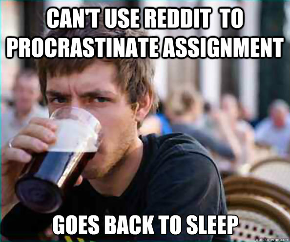 can't use reddit  to procrastinate assignment goes back to sleep  Lazy College Senior