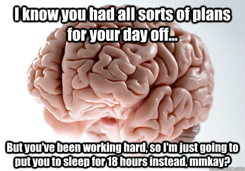 I know you had all sorts of plans for your day off... But you've been working hard, so I'm just going to put you to sleep for 18 hours instead, mmkay?  Scumbag Brain