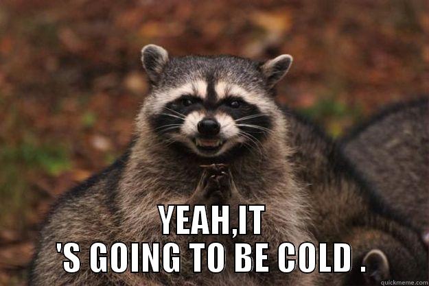  YEAH,IT 'S GOING TO BE COLD . Evil Plotting Raccoon