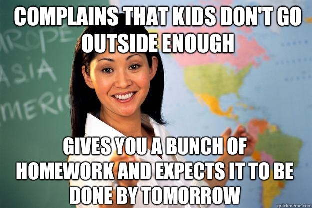 Complains that kids don't go outside enough Gives you a bunch of homework and expects it to be done by tomorrow   Unhelpful High School Teacher