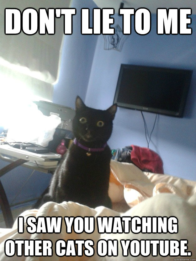 Don't lie to me I saw you watching other cats on YouTube. - Don't lie to me I saw you watching other cats on YouTube.  overly attached cat