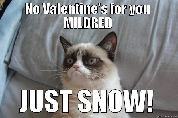 NO VALENTINE'S FOR YOU MILDRED JUST SNOW! Grumpy Cat