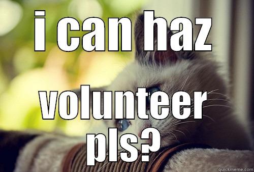 I CAN HAZ VOLUNTEER PLS? First World Problems Cat