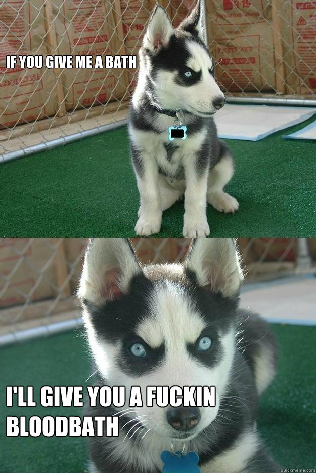 if you give me a bath i'll give you a fuckin bloodbath   Insanity puppy